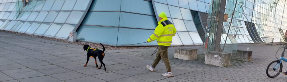 Team Barry – Mantrailing in Uelzen